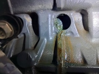 fxi3anj363bgyh4aak7e_320_400-2bf35ccd.jpg