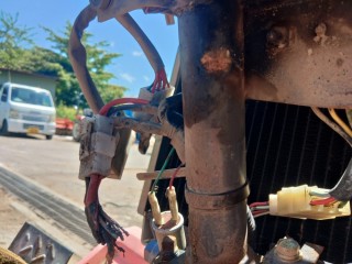 ui93sc59hb5ud72y7pv2_320_400-ae008dbb.jpg