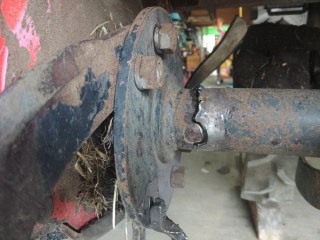 wua7957ujabojbpxyg8v_320_400-2316f184.jpg